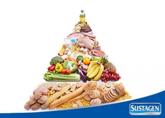 Mengenal Piramida Makanan Sustagen Indonesia